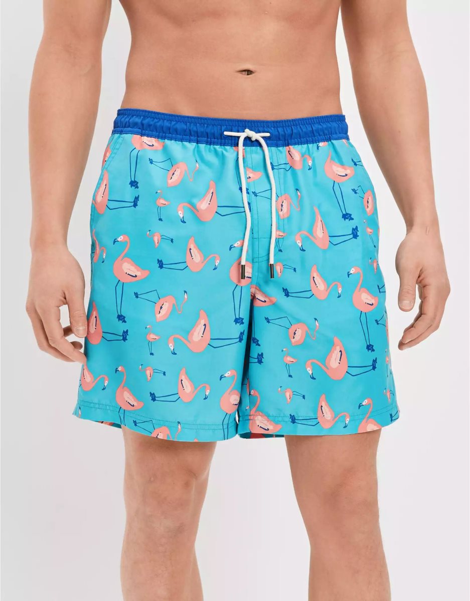 Shorts American Eagle AE 7